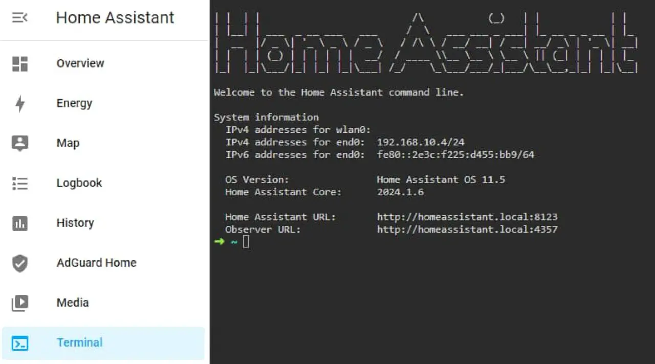 Home Assistant terminal.