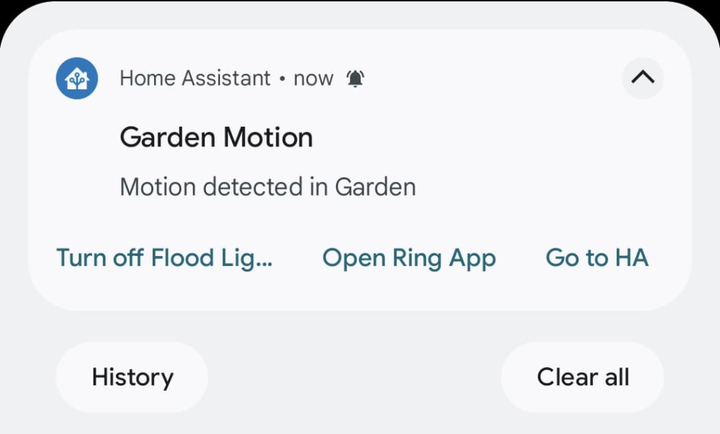 Home Assistant actionable notification in Android app