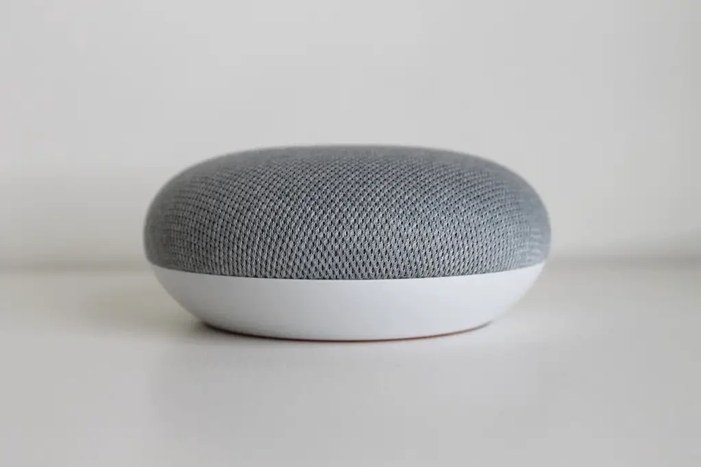 A Google Home Mini Speaker