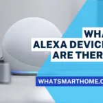 What Alexa devices are there?
