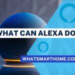 What can Alexa do for you?
