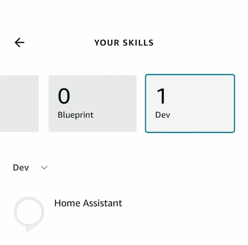 your Alexa skills shown in the Alexa app