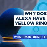 Why does Alexa have a yellow ring