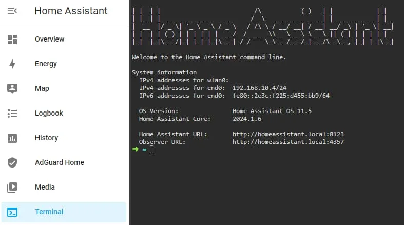 Home Assistant terminal screen